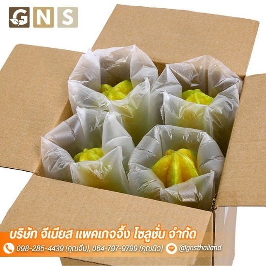 ฟิล์มกันกระแทกแบบเป่าลม (Air Pillow) - ผลิตถุงลมกันกระแทก พลาสติกกันกระแทกแบบเป่าลม Air Bubble